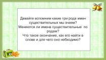 Презентация Склонения имен существительных.