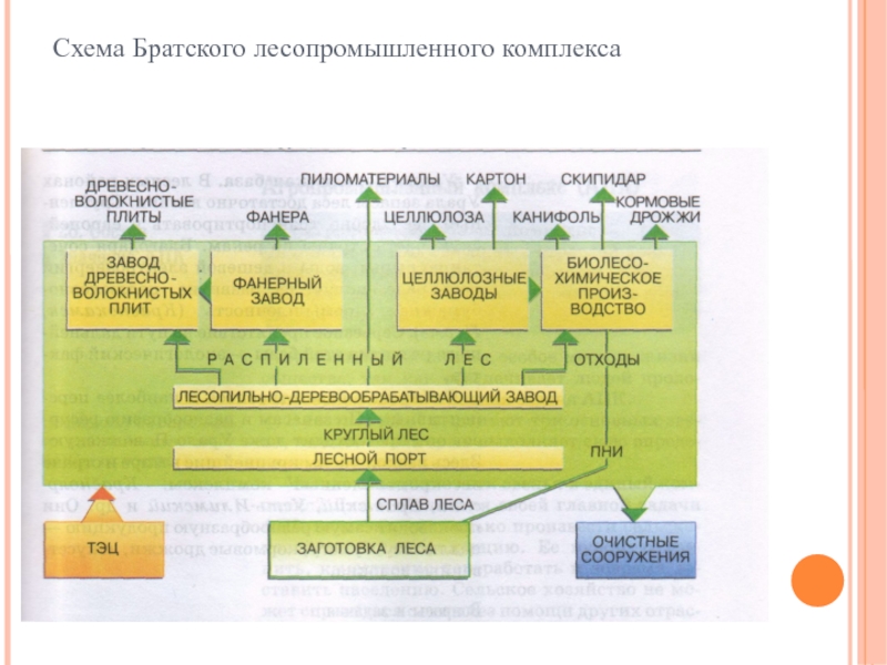 Схема Братского лесопромышленного комплекса