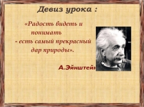 Презентация по физике на тему Сила упругости.Закон Гука