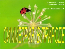 Проектная работа на тему: Симметрия в природе ученицы 10-го класса Герасимовой Евгении