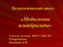 Опыт работы Мобильные агитбригады