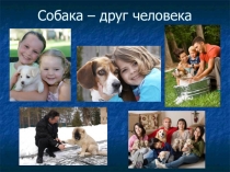 Презентация к ООД Собака - друг человека