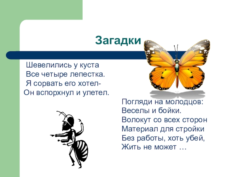 Песня край загадок. Загадка шевелились у цветка. Загадка шевелились у цветка все четыре лепестка ответ. Загадка о бабочках шевелились у цветка все четыре лепестка. Загадки Тамбовского края.