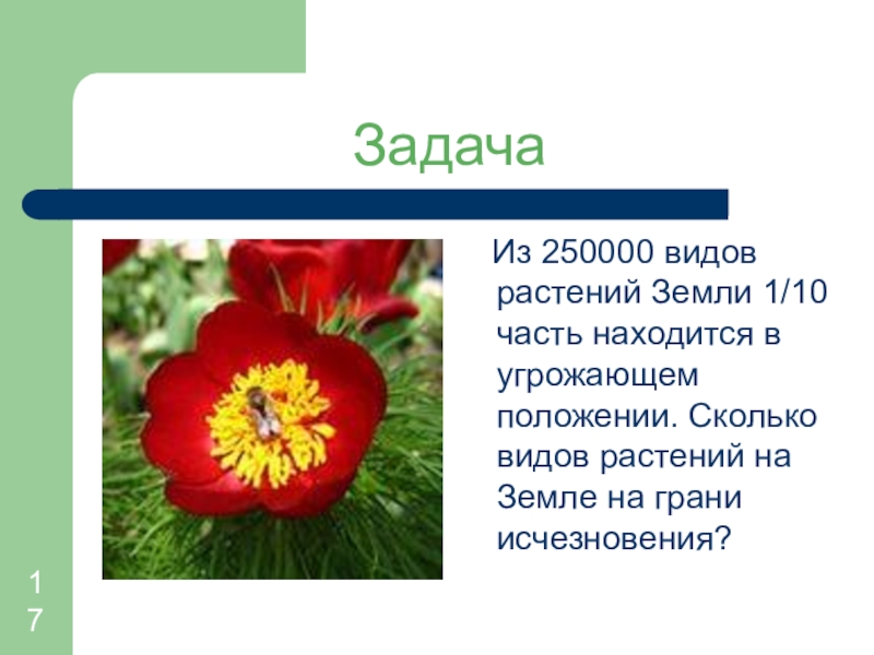 Растения численность. Количество видов растений. Сколько видов животных и растений на земле. Виды растений на земле. Численность видов растений.