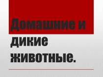 Презентация по окружающему миру на тему Дикие и домашние животные (2 класс)