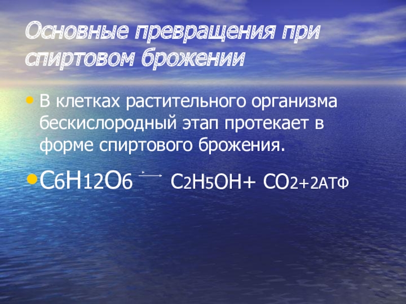 Бескислородный этап. Бескислородный этап спиртовое брожение. Основные превращения воды в организме. Спиртовое брожение в растительной клетке. Бескислородный этап энергетического обмена спиртовое брожение.