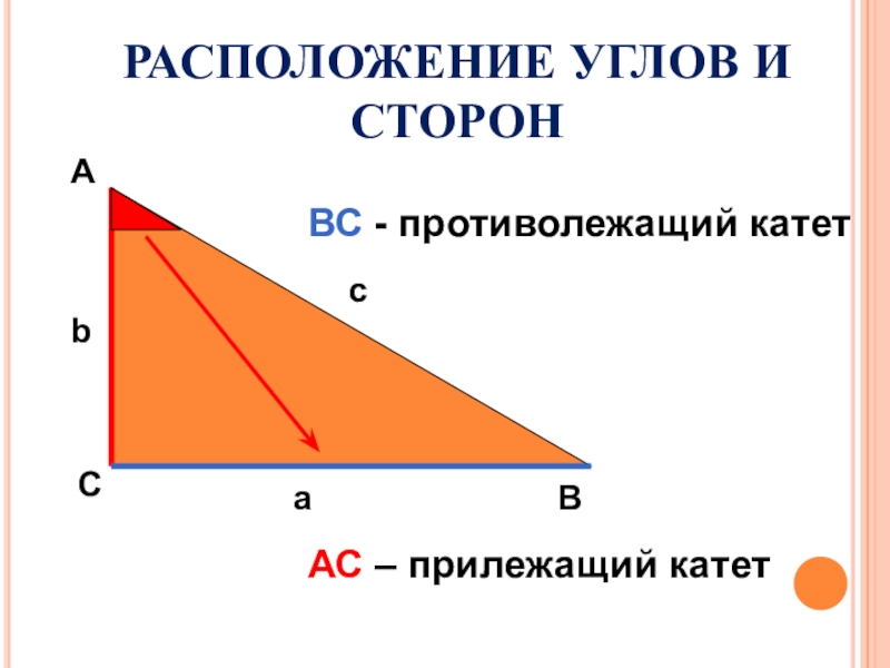 Гипотенуза на косинус угла. Прилежащий катет. Прилежащий и противолежащий катет. Прилежажий противололежащий катет. Катет противолежащий углу.