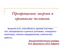 Превращение энергии в организме человека.