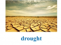 Презентация по английскому языку Катастрофы, Герундий и Инфинитив (8 класс)