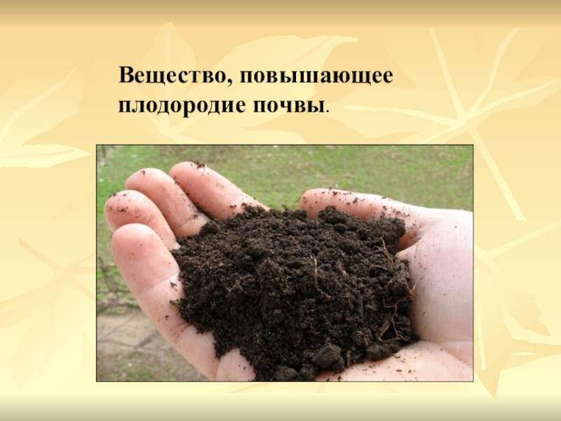 Повышение плодородие почвы называется. Плодородие почвы. Почва плодородие почвы. Что повышает плодородие почвы. Вещество повышающее плодородие почвы.