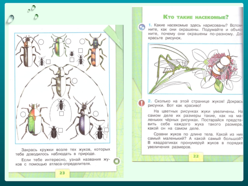 Кто такие насекомые 1 класс окружающий мир. Рабочая тетрадь насекомые. Насекомые задания 1 класс. Рабочая тетрадь окружающий насекомые. Насекомые рабочая тетрадь 1 класс.