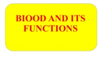 Биология пәнінен  Қанның қызметі  тақырыбында Презентация жұмысы