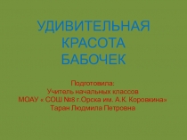 Презентация Удивительная красота бабочек