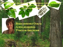 Внешнее строение листа