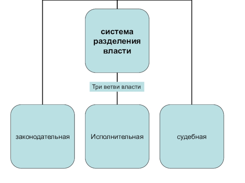 Три ветки. Три ветви власти. СМИ ветви. Характеристика трех ветвей власти.