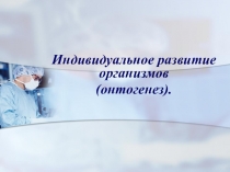 Презентация по биологии: Эмбриональное развитие организма