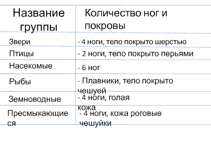 Птицы покровы тела функции