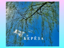 Презентации по окружающему миру и для внеклассной работы