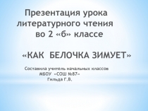 Презентация по литературному чтению на тему Как белочка зимует Г.Скрибитский В. Чаплина