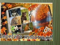 КОНСПЕКТ НОД ПО ОКРУЖАЮЩЕМУ МИРУ В СТАРШЕЙ ГРУППЕ Берегите животных(презентация)