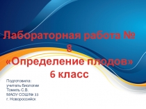 Презентация по биологии к лабораторной работе Определение плодов 6 класс, УМК Сфера
