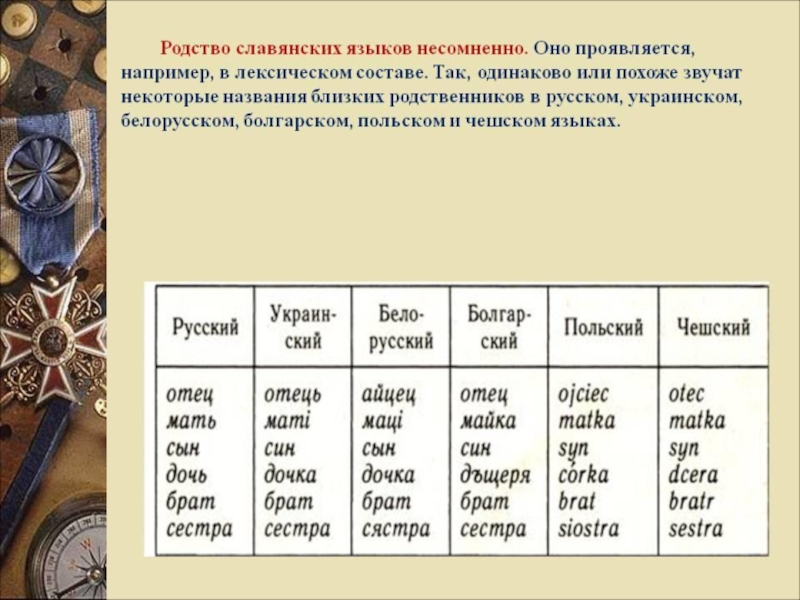 Слова звучащие одинаково на всех языках. Схожесть славянских языков. Общие слова в славянских языках. Схожие слова в славянских языках. Родство славянских языков.