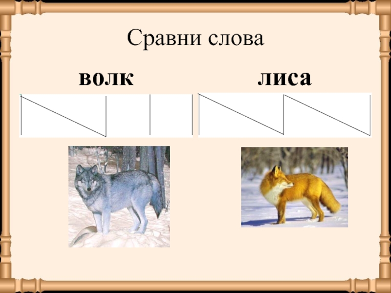 Слово волк. Слово лиса. Лиса и волк словами. Волк звуковая схема. Схема слова волк.