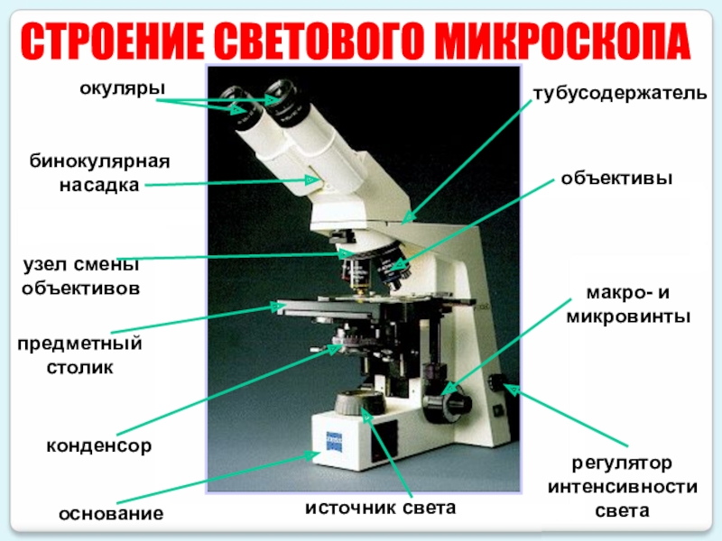 Для получения на экране увеличительного изображения лампочки в лаборатории используется