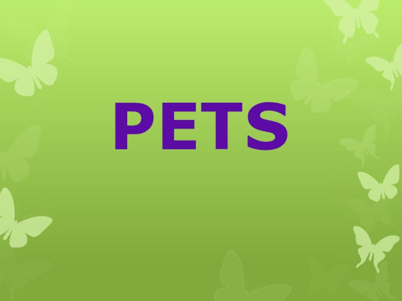 Презентация Презентация по английскому языку на тему Pets. по учебнику Spotlight 3