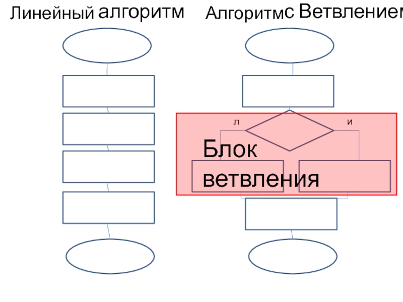 Линейный блок. Линейный алгоритм пустой. Вспомогательный алгоритм блок схема. Линейный алгоритм с ветвлением. Блок-схема алгоритма пустая.