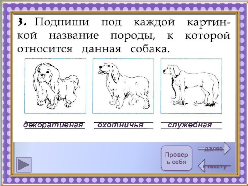 Подпиши каждый рисунок. Чтение первый класс породы собак. Под рисунком название рисунок. Подпиши породы собак картинки 2 класс. 2 Класс презентация вариант 21 работа с текстом.