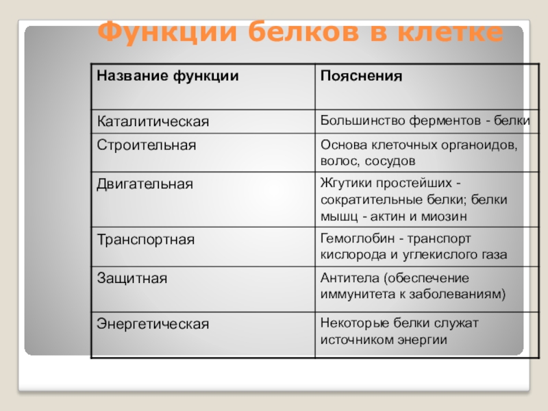 4 функции белка. Функции белков. Функции белков в клетке. Строительная функция белков двигательная. Двигательная функция белков в клетке.