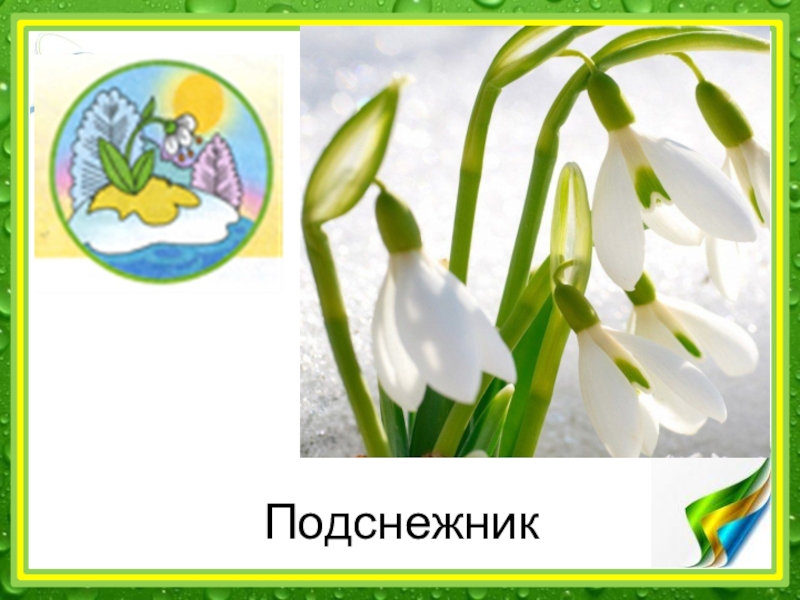 Весенняя 2. Охрана природы весной. Охрана природы весной 2. Охрана природы весной окружающий мир. Охрана природы весной 2 класс окружающий мир перспектива.