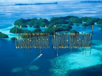 по биологии на тему Табиғатты қорғау