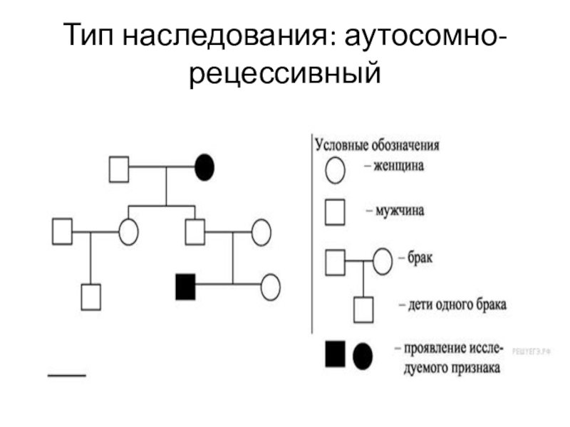 Как наследуется шизофрения схема