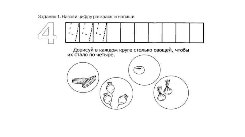 Число и цифра 4 презентация для дошкольников