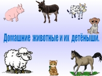 Презентация Домашние животные и их детеныши