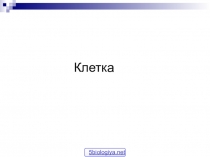 Презентация по биологии на тему Структурные компоненты клетки