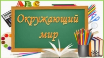 Презентация к уроку оружающий мир по теме В лес по ягоды пойдем (1 класс)