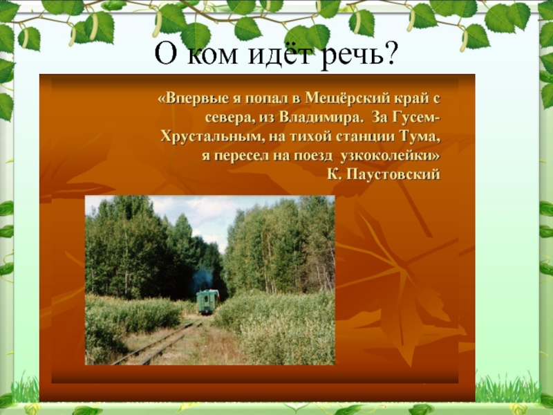 Паустовский обыкновенная земля изложение. Паустовский обыкновенная земля. Мещёра Паустовский. Паустовский Мещерская сторона. Мещерский край Паустовский.