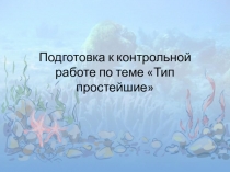 Обобщение по теме Подцарство простейшие