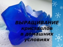 Презентация Выращивание кристаллов в домашних условиях