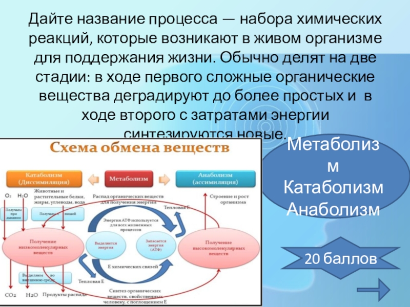 2 назвать процесс. Название процесса. Химические реакции в живых организмах. Название процессов реакций. Процессы в химии названия.