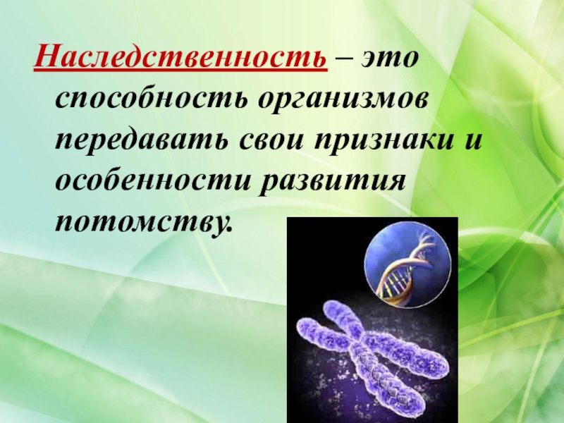 Презентация по биологии 9. Наследственность это в биологии. Наследственность определение. Наследственность это в биологии определение. Наследственность биология 9 класс.