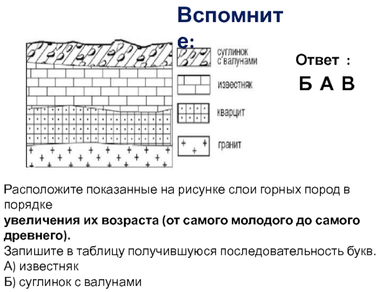 Расположите показанные. Слои горных пород. Слои горных пород в порядке увеличения их возраста. Слои горных пород по возрасту. Горные породы в порядке увеличения их возраста.