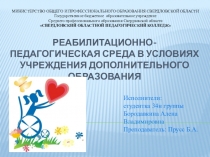 Проект Реабилитационно-педагогическая среда в условиях учреждения дополнительного образования