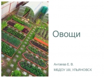 Презентация по ознакомлению с миром природы Овощи