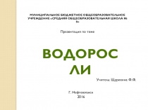 Презентация по биологии на тему: Водоросли