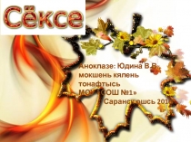 Презентация к уроку мокшанского языка на тему Сёксе