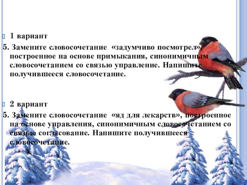 Замените словосочетание ветка ели управление. Замените словосочетание берёзовый ствол. Ствол березы  словосочетание или управление?.